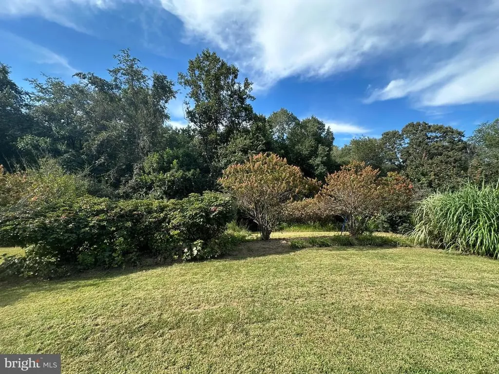 481 Malvern Drive Madison VA 22727