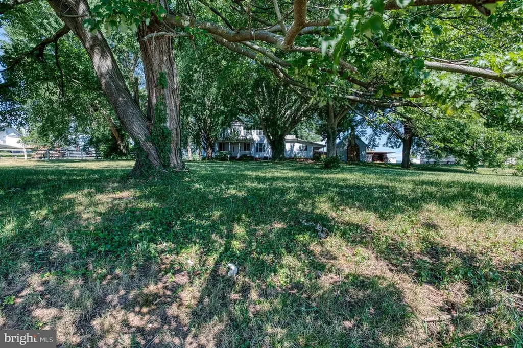 150 Main Street N Madison VA 22727