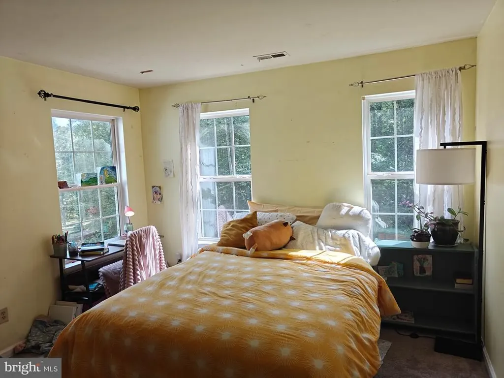 133 Oaks Lane Madison VA 22727