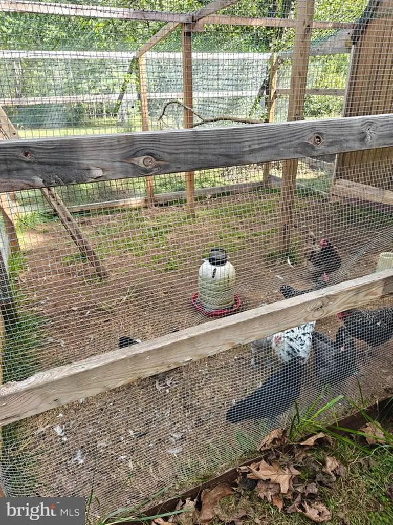 133 Oaks Lane Madison VA 22727