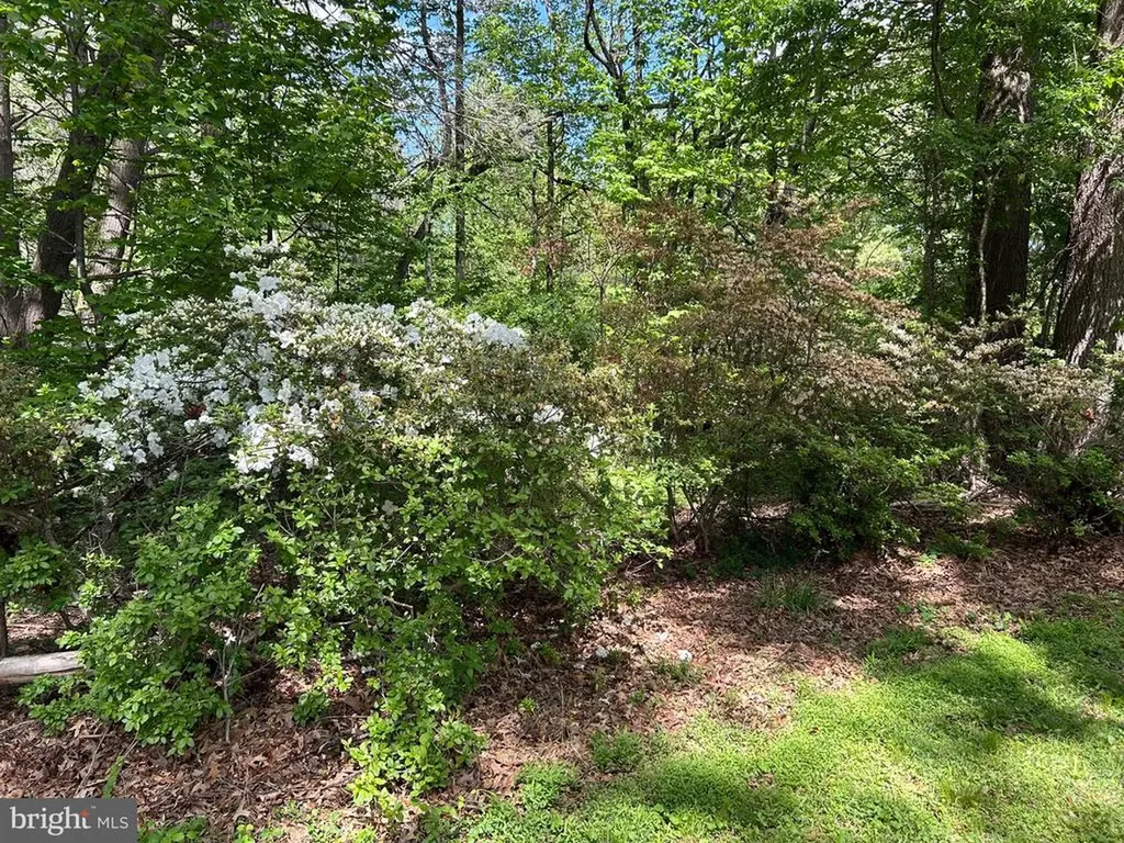 359 Malvern Drive Madison VA 22727