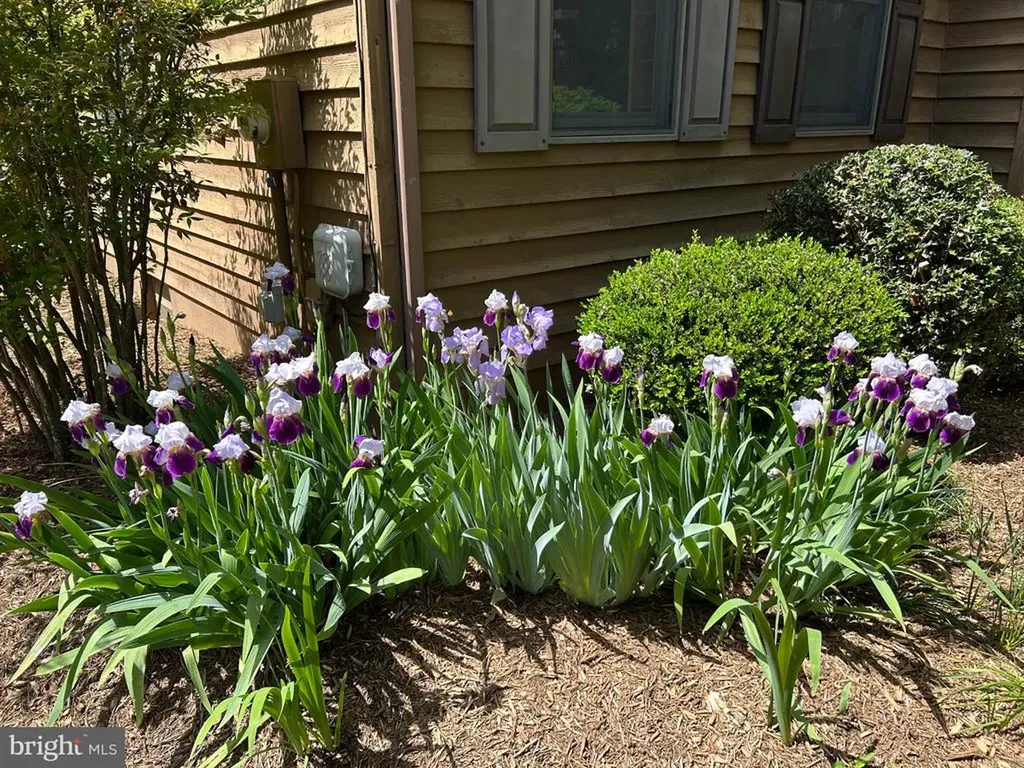 359 Malvern Drive Madison VA 22727