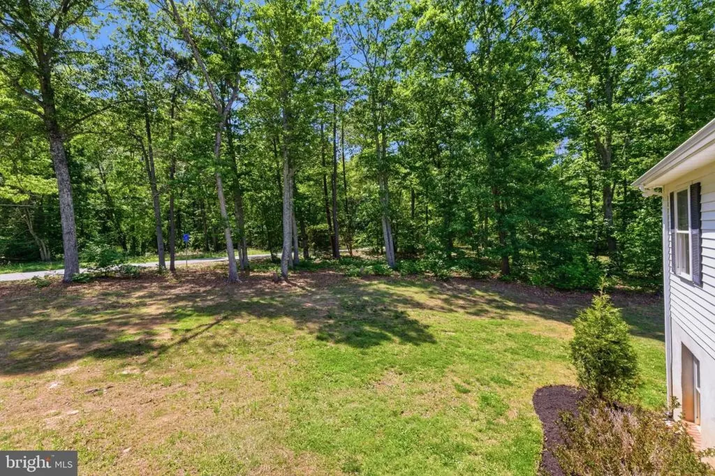 40 John Tucker Road Madison VA 22727
