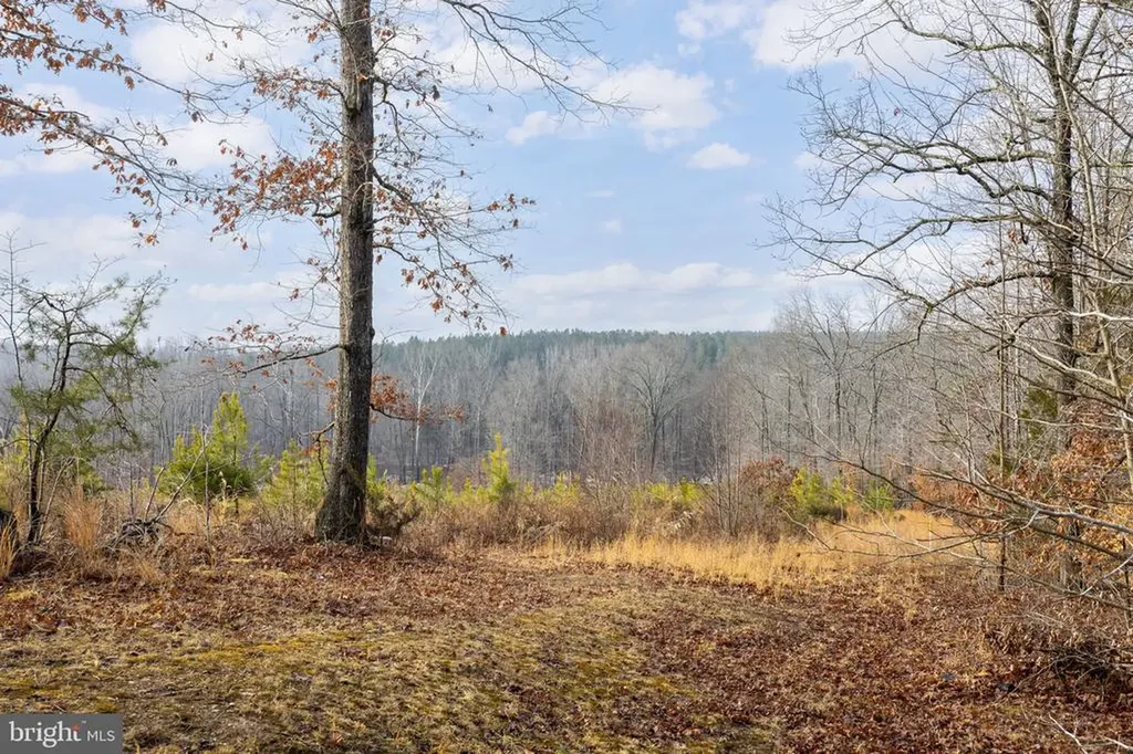 2481 Yanceyville Road Louisa VA 23093