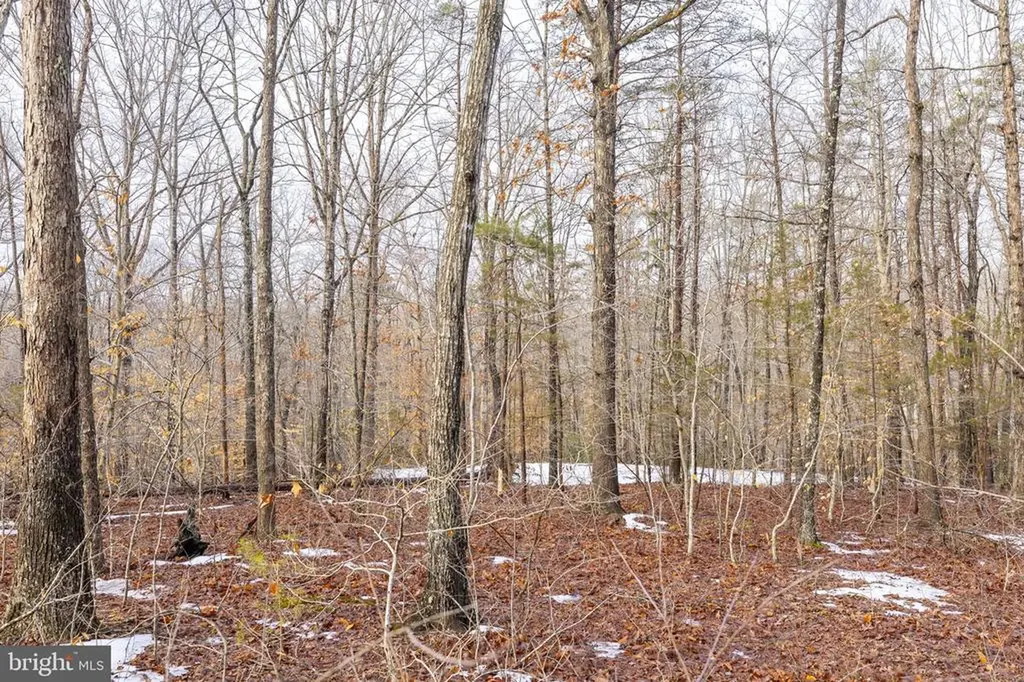 2481 Yanceyville Road Louisa VA 23093