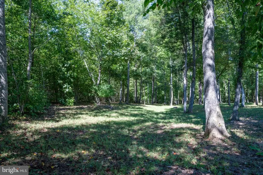 887 Hickory Creek Road Louisa VA 23093