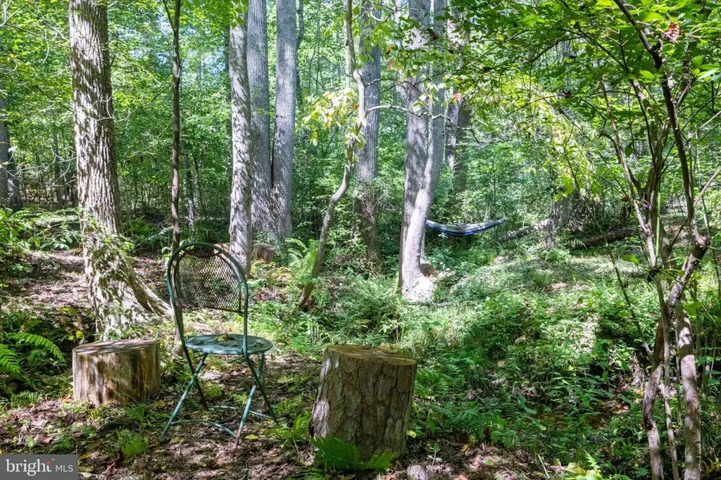 887 Hickory Creek Road Louisa VA 23093