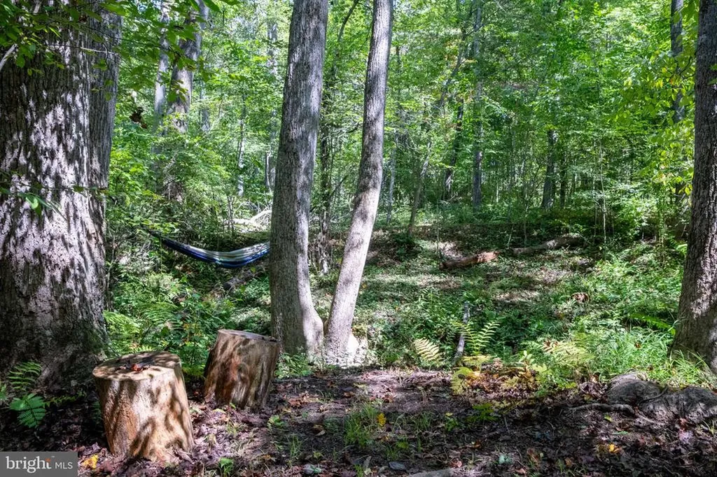 887 Hickory Creek Road Louisa VA 23093