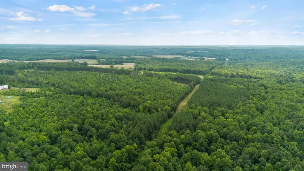 362 Dell Perkins Road Louisa VA 23093