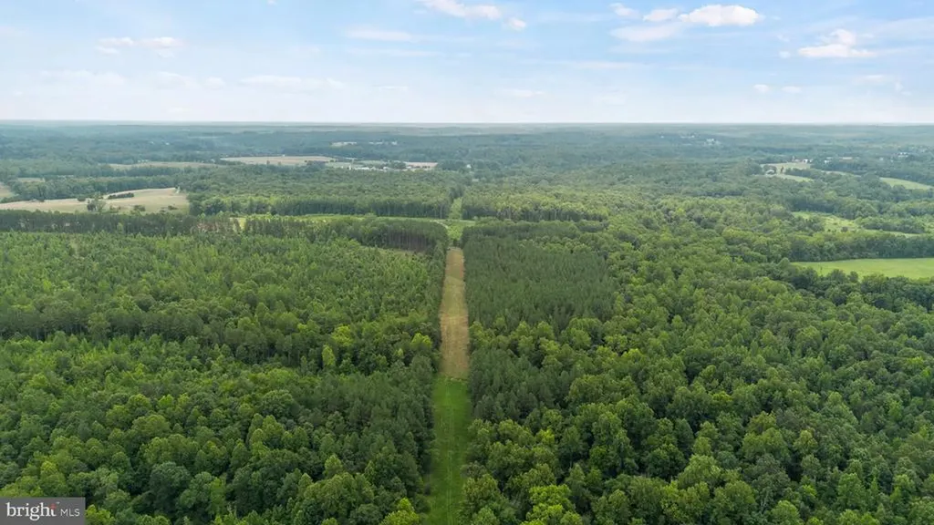 362 Dell Perkins Road Louisa VA 23093