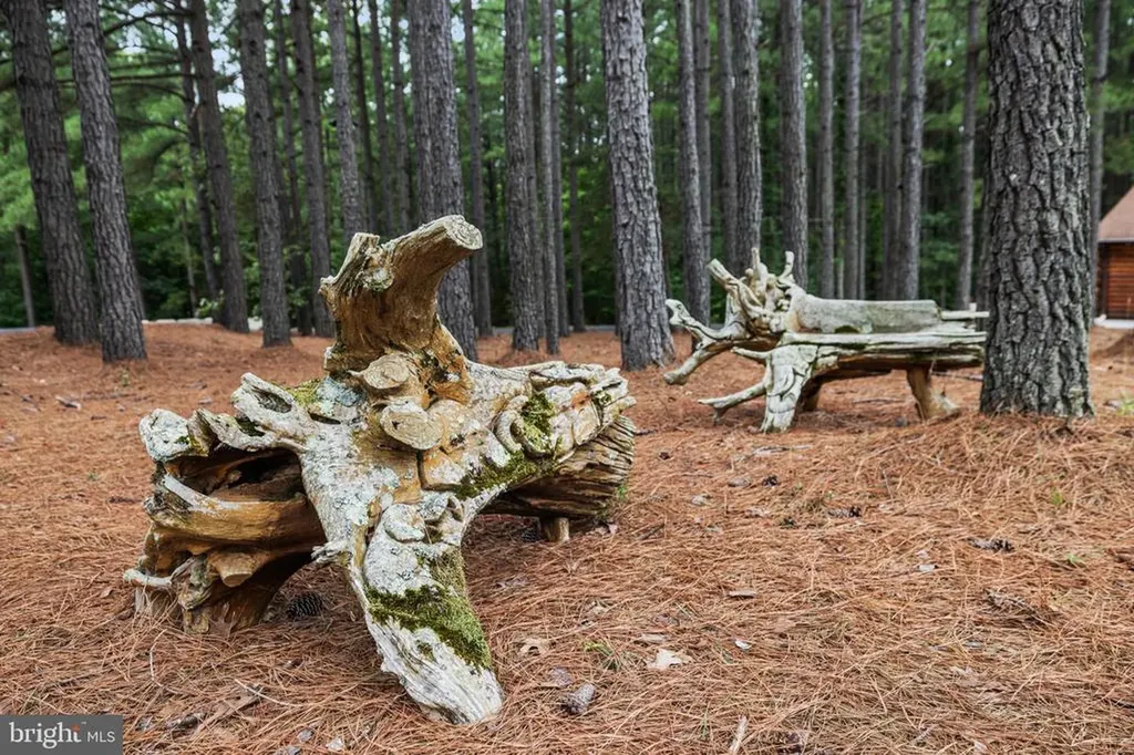 362 Dell Perkins Road Louisa VA 23093