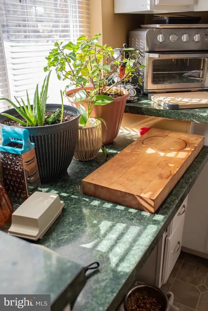 1659 Lakeshore Drive S Louisa VA 23093