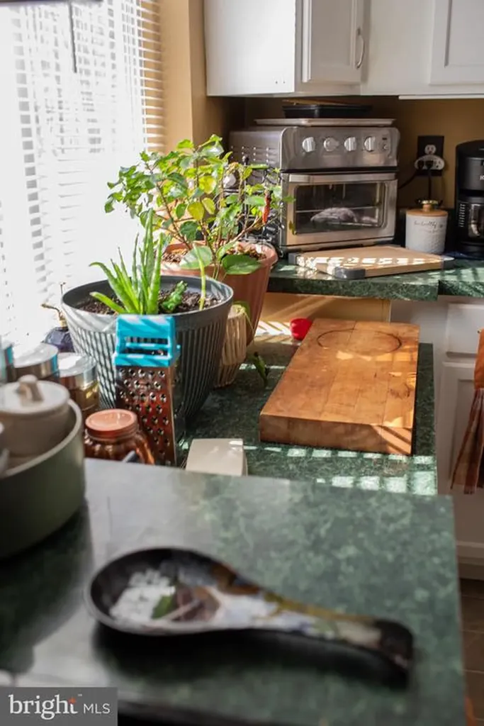 1659 Lakeshore Drive S Louisa VA 23093