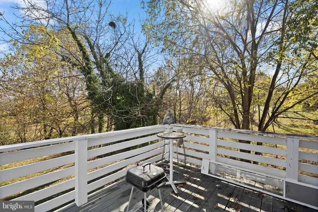 217 Ellisville Drive Louisa VA 23093