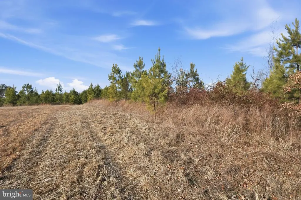 15284 Poplar Road Orange VA 22960