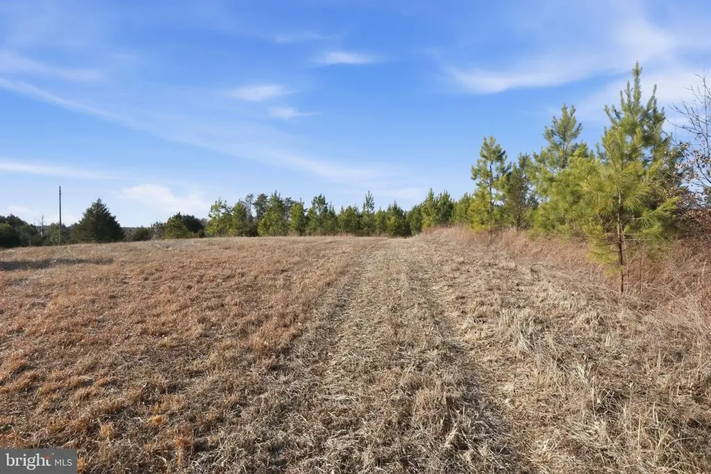 15284 Poplar Road Orange VA 22960