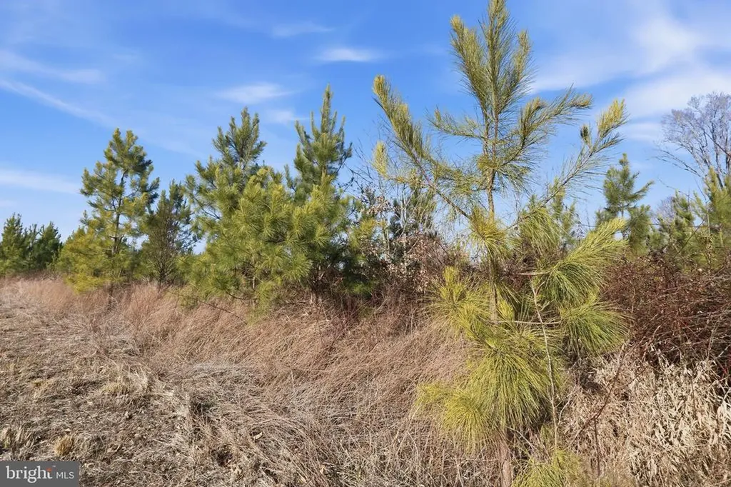 15284 Poplar Road Orange VA 22960