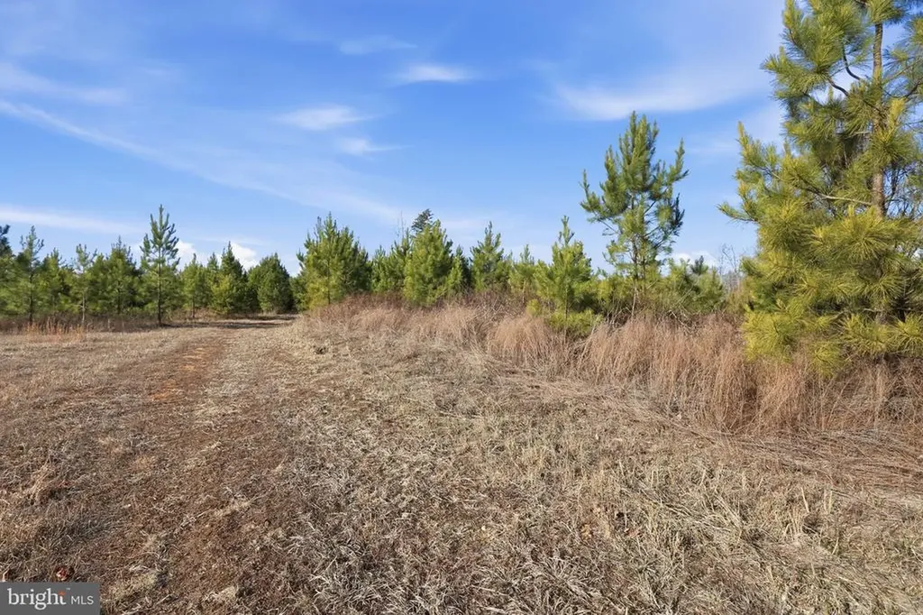 15284 Poplar Road Orange VA 22960