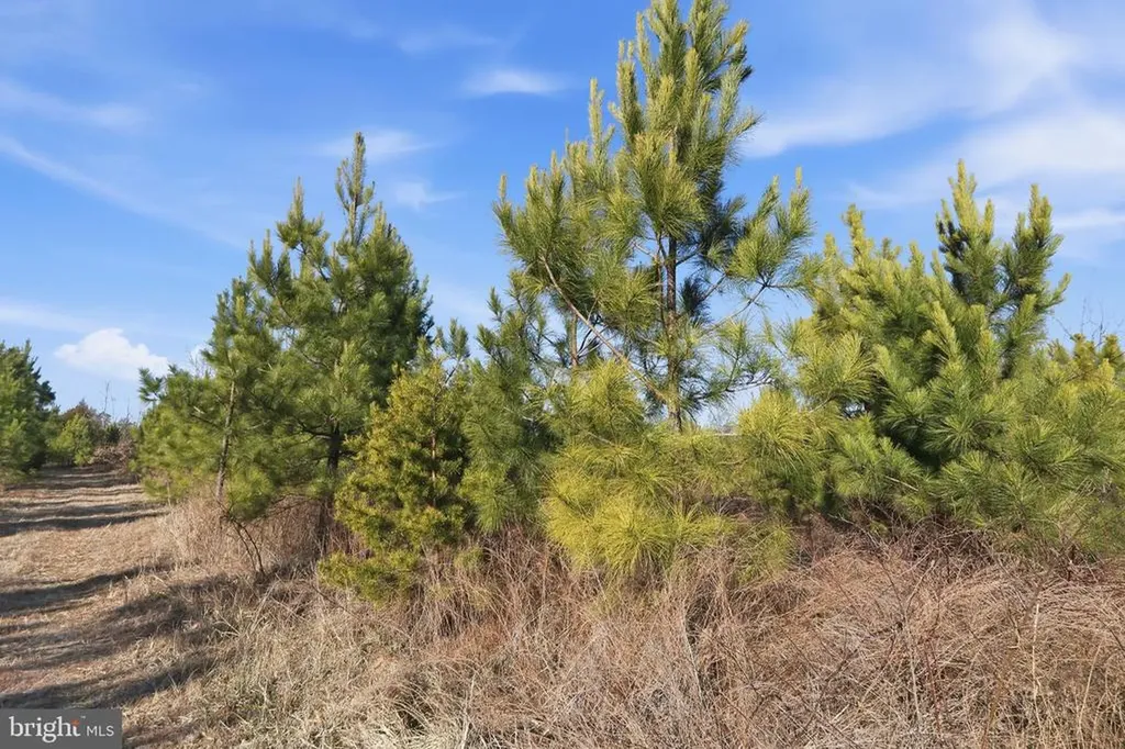 15284 Poplar Road Orange VA 22960