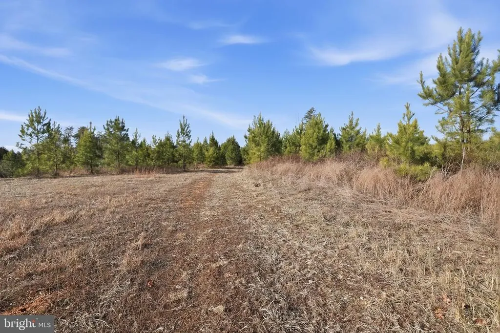 15284 Poplar Road Orange VA 22960