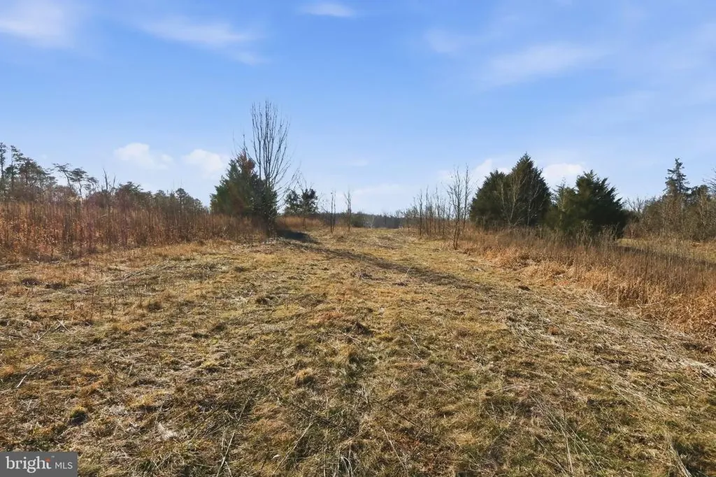 15284 Poplar Road Orange VA 22960