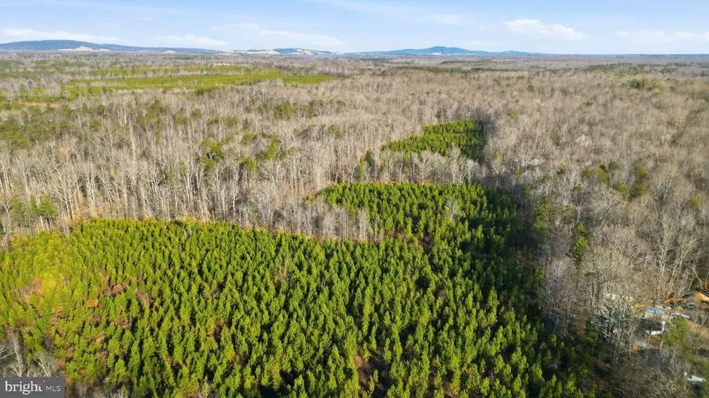 15284 Poplar Road Orange VA 22960