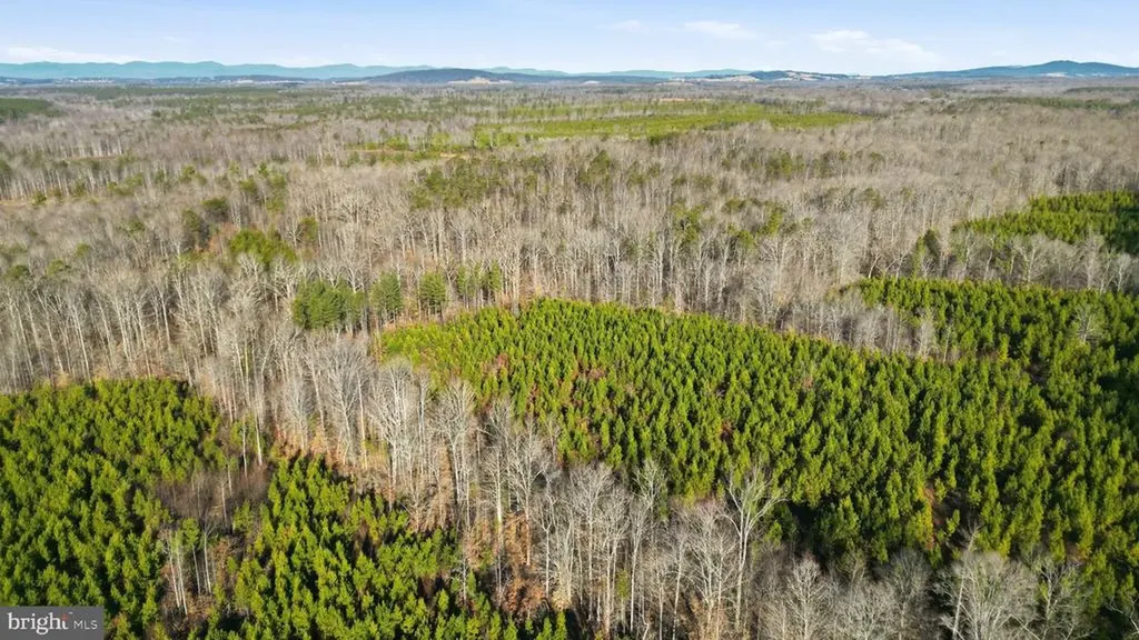 15284 Poplar Road Orange VA 22960