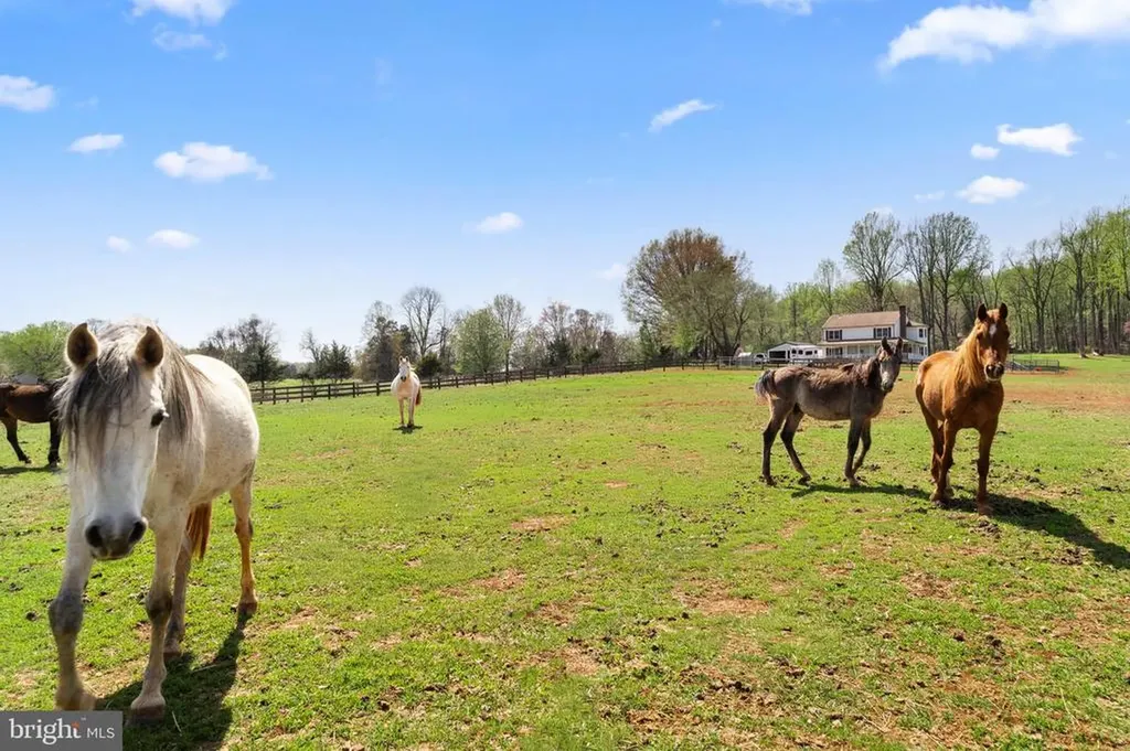 19050 Monteith Farm Road Gordonsville VA 22942