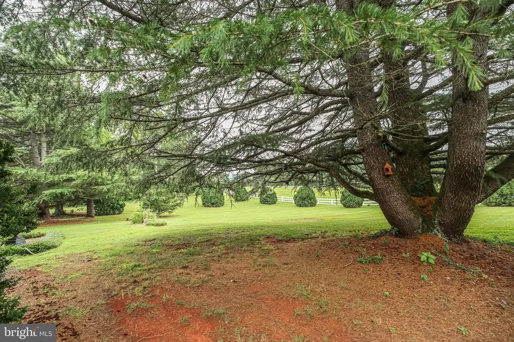 590 N Madison Road Orange VA 22960