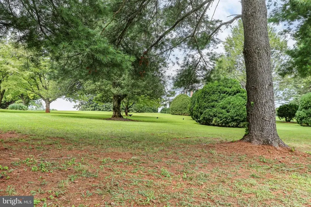 590 N Madison Road Orange VA 22960