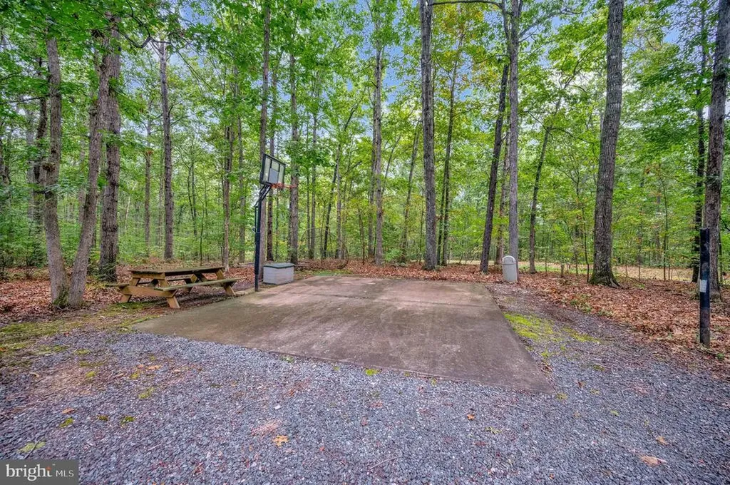 16180 Mountain Track Road Orange VA 22960