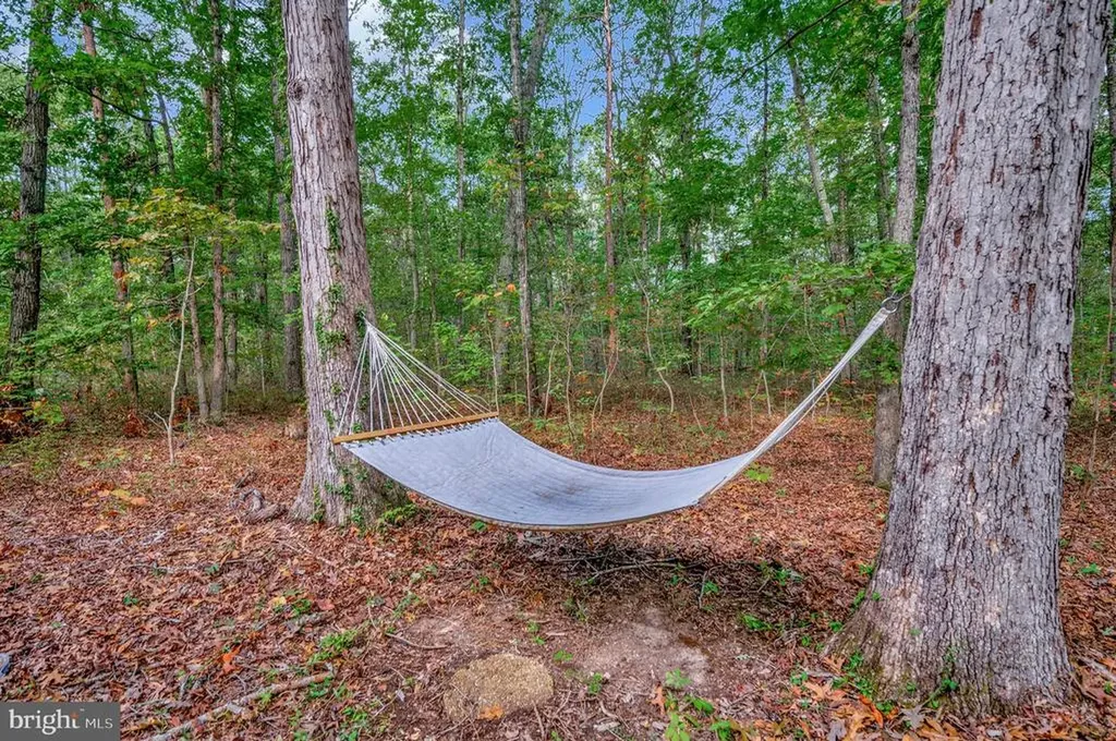 16180 Mountain Track Road Orange VA 22960