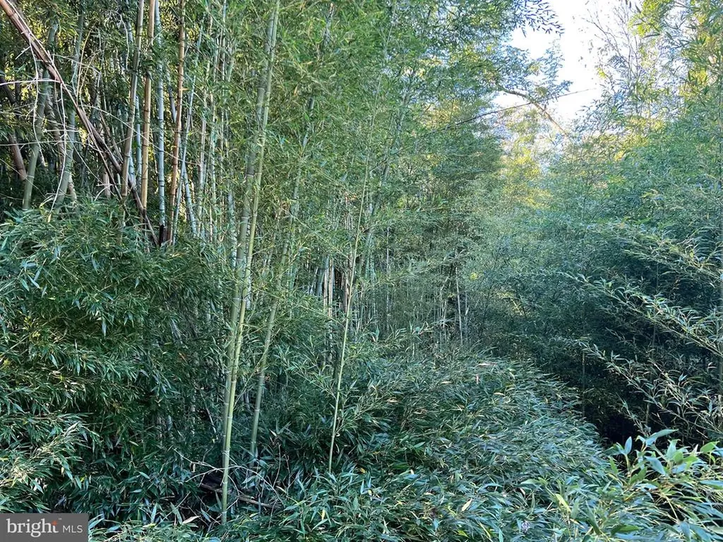 14251 Miller Road Orange VA 22960