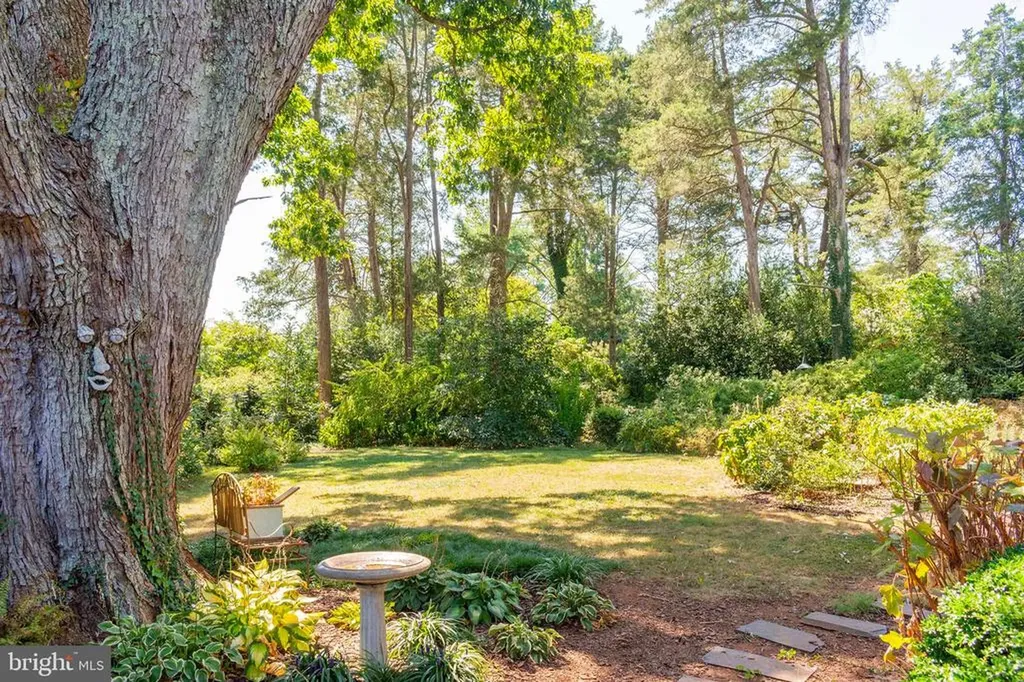 358 Main Street Orange VA 22960