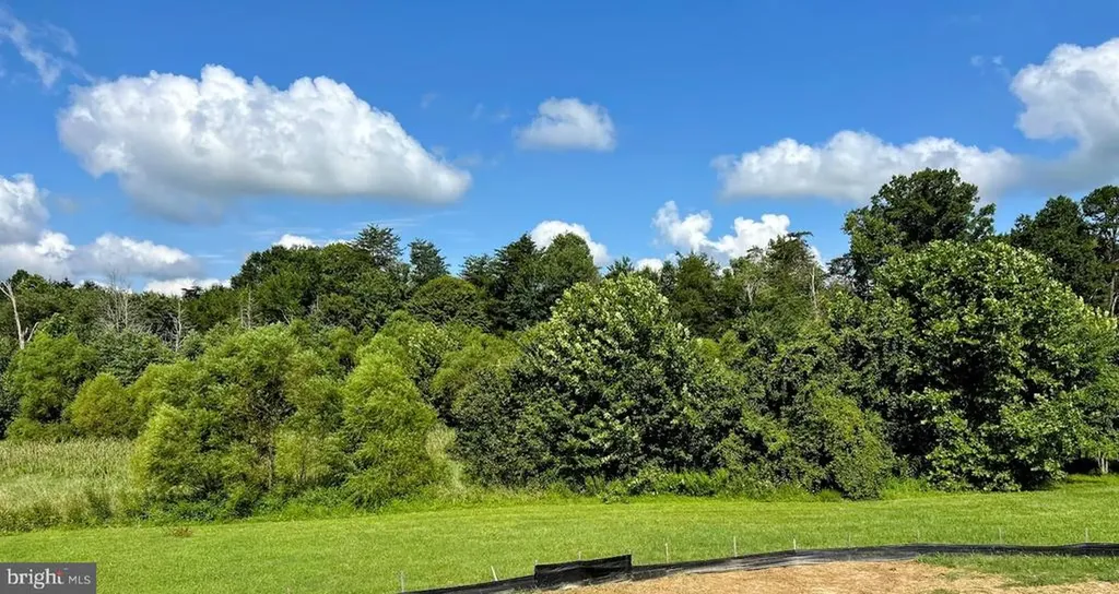 Lookout Circle Orange VA 22960