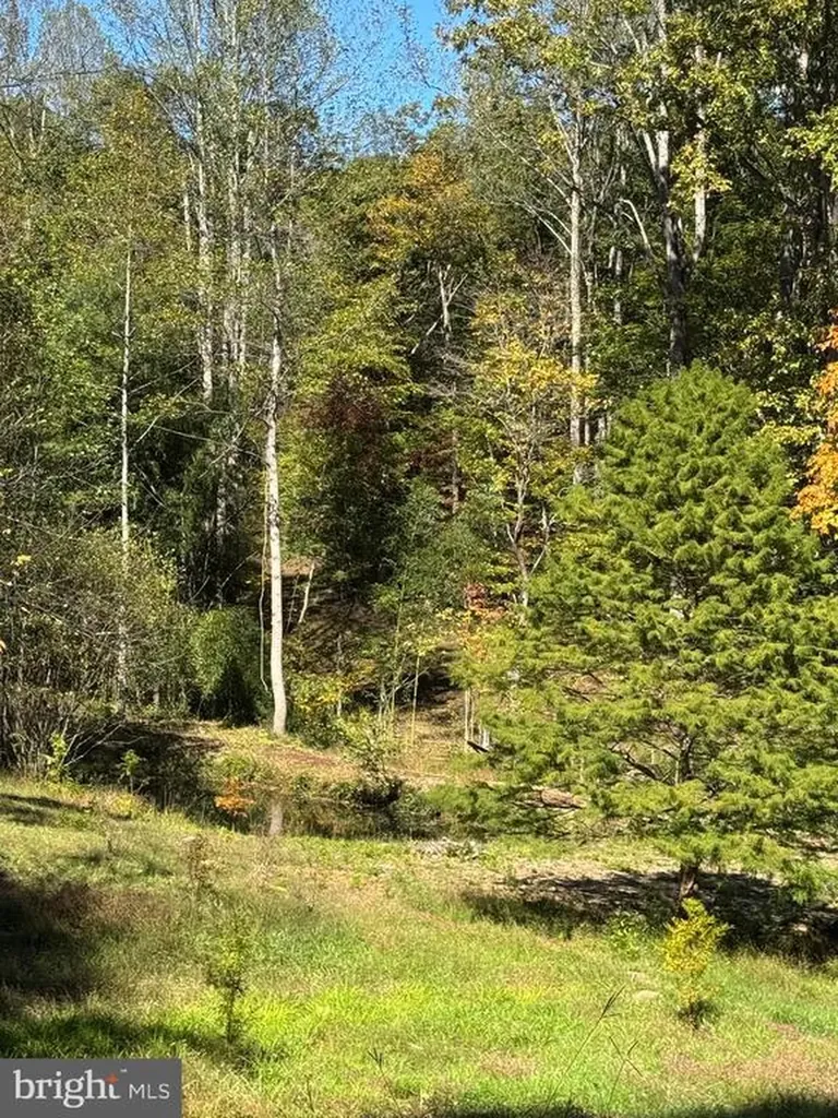 25 Falling Springs Drive Afton VA 22920