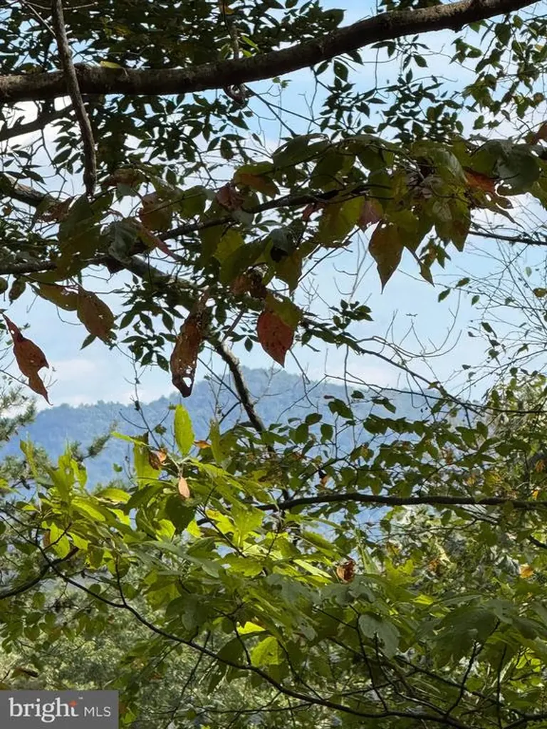 25 Falling Springs Drive Afton VA 22920