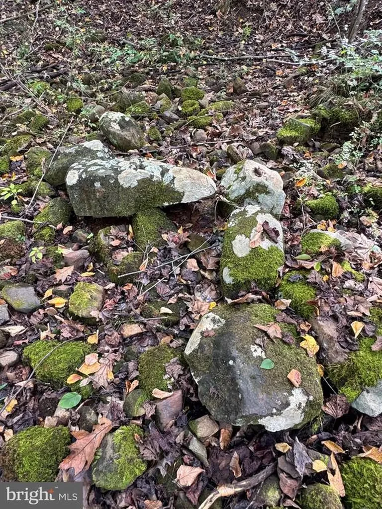 25 Falling Springs Drive Afton VA 22920