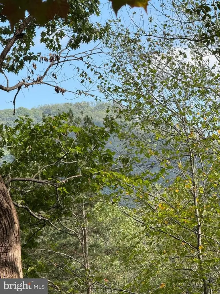 25 Falling Springs Drive Afton VA 22920