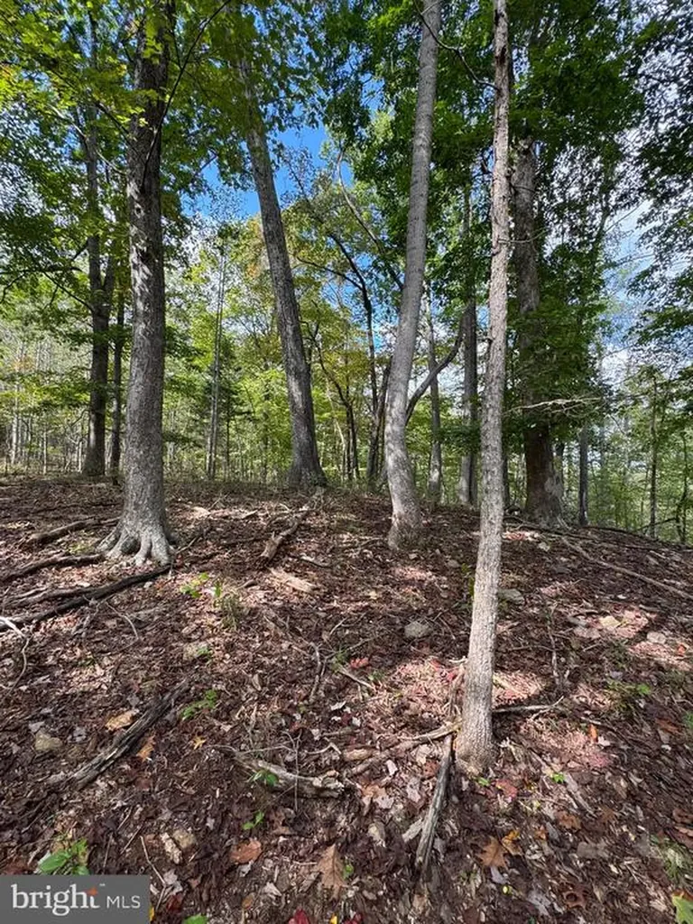 25 Falling Springs Drive Afton VA 22920