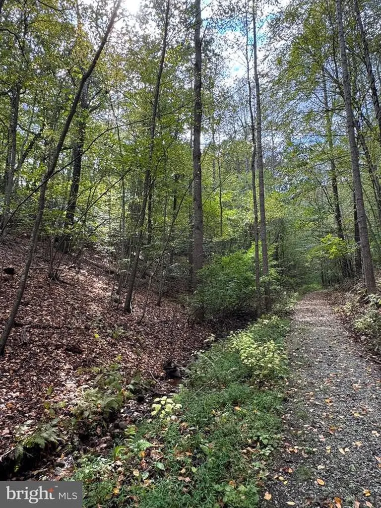 25 Falling Springs Drive Afton VA 22920