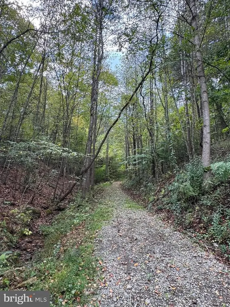 25 Falling Springs Drive Afton VA 22920