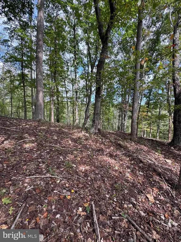 25 Falling Springs Drive Afton VA 22920