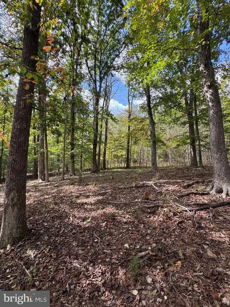 25 Falling Springs Drive Afton VA 22920