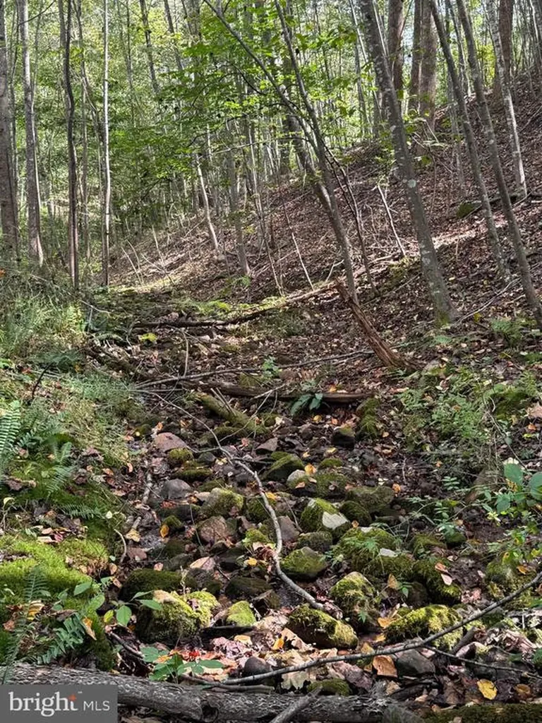 25 Falling Springs Drive Afton VA 22920