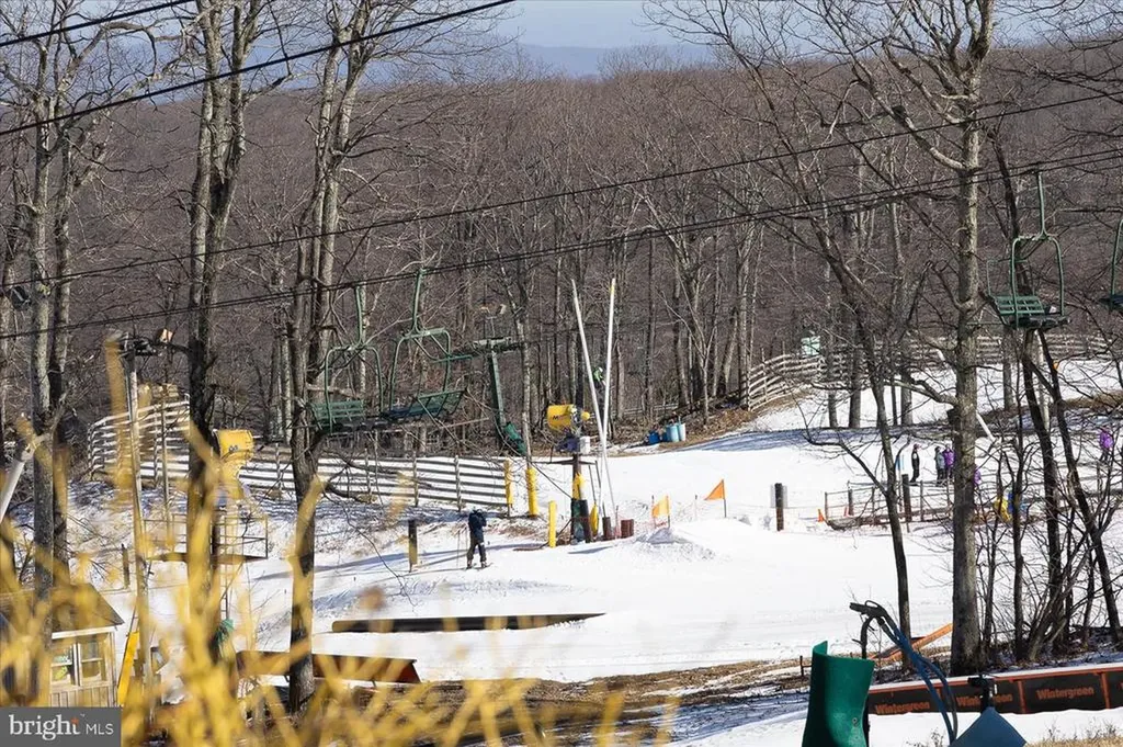 905 Diamond Hill Roseland VA 22967