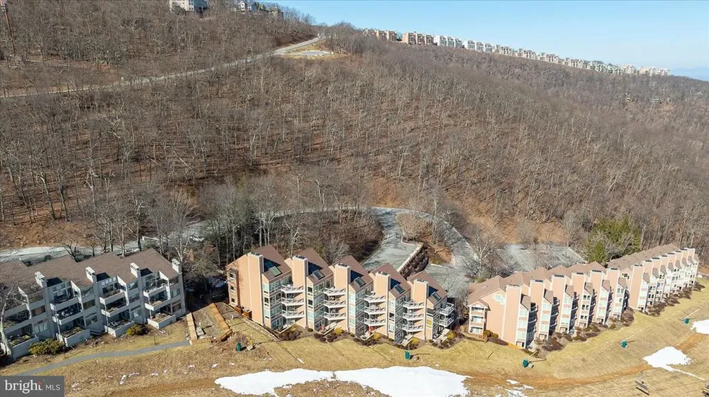 905 Diamond Hill Roseland VA 22967