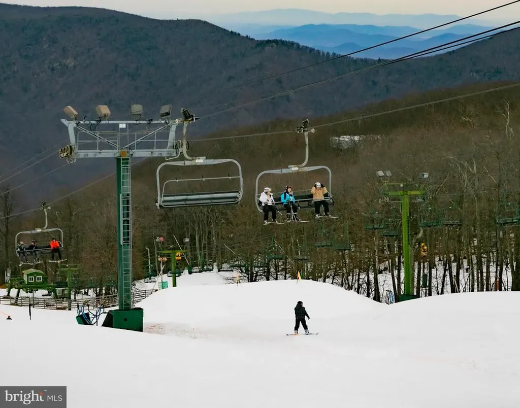 905 Diamond Hill Roseland VA 22967