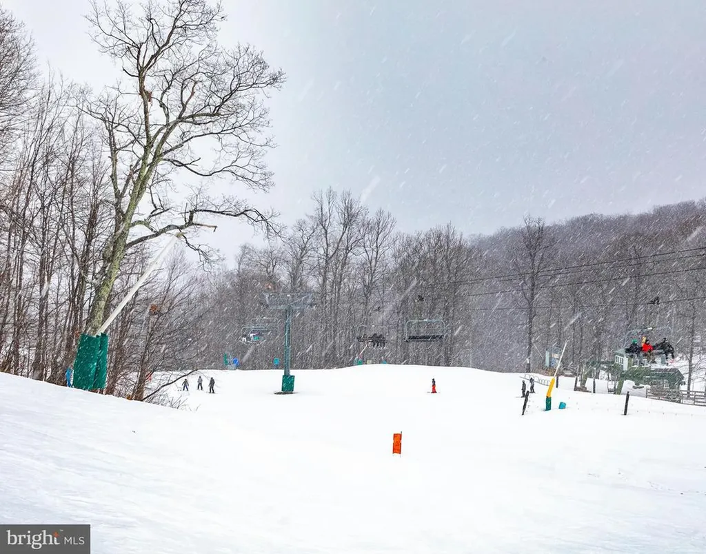 905 Diamond Hill Roseland VA 22967