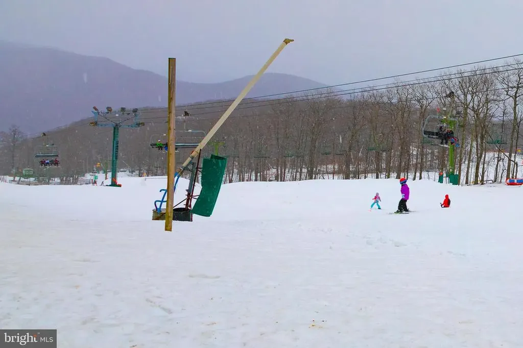 905 Diamond Hill Roseland VA 22967